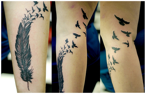 feather tattoo. Bird#39;s of a Feather Tattoo