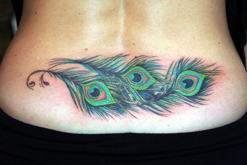 peacock feather tattoos. Feather Tattoo#39;s (Peacock In