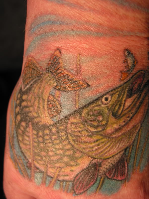 Crazy Shark Tattoo. Most people who get attacked by sharks want nothing to. Tags: northern pike, pike, Pike fishing, Pike Fly Fishing, Pike Tattoo,