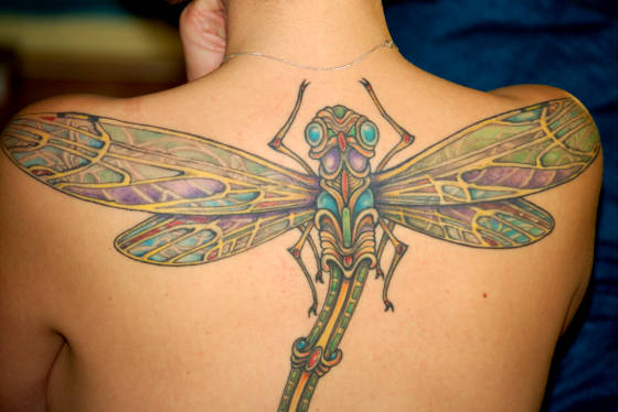 Tattoo Design Dragon Flies Real Imagined DragonflyTattooBack