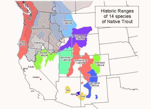 Western Trout's Historic Ranges
