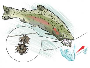 Drop shot rig using trout beads?  The North American Fly Fishing