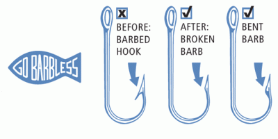 Fly Fishing: Barbless Hooks Unnecessary? – SwittersB & Exploring