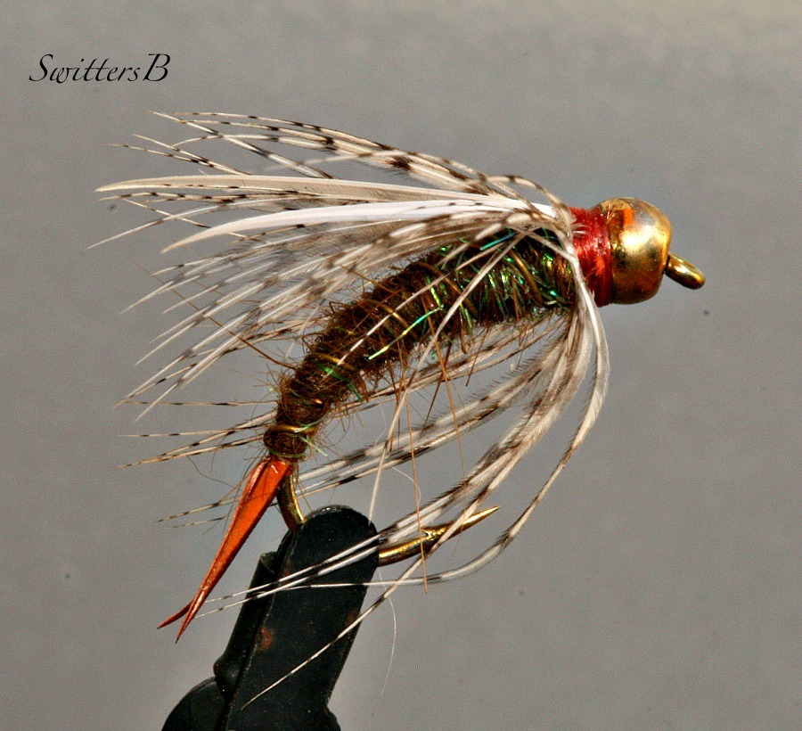 wet-fly-bead-head-biot-wing-dubbing-phot