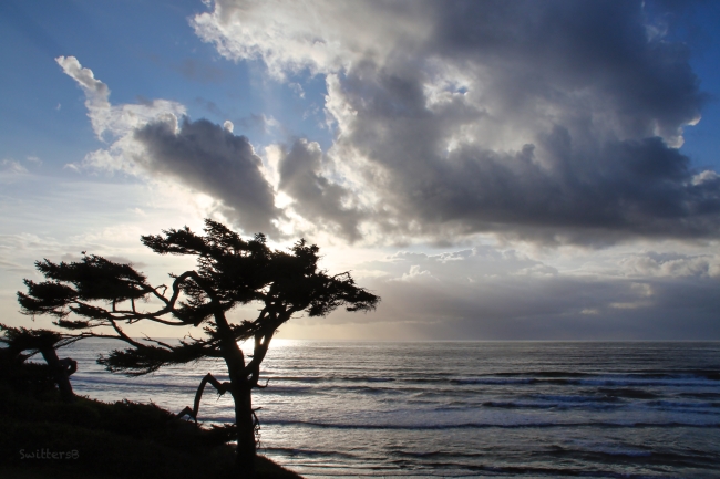 Oregon Coast-Arch Cape-SwittersB.jpg