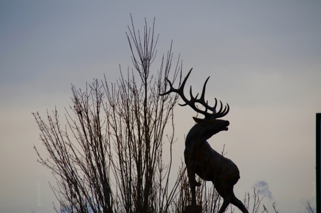 Elk Statue-Troutdale-Oregon-Caswell-SwittersB_002.jpg